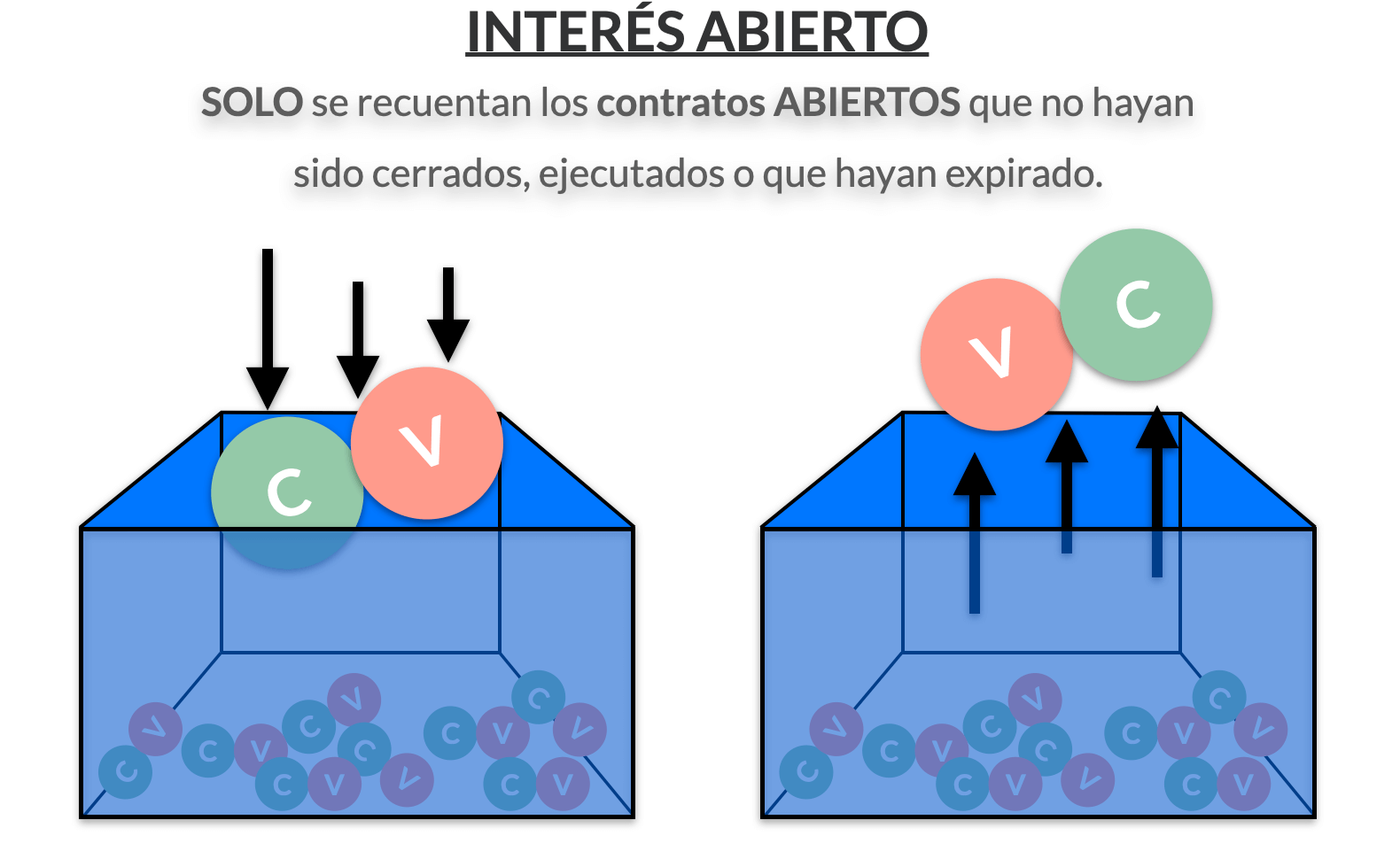 Descripción interés abierto opciones