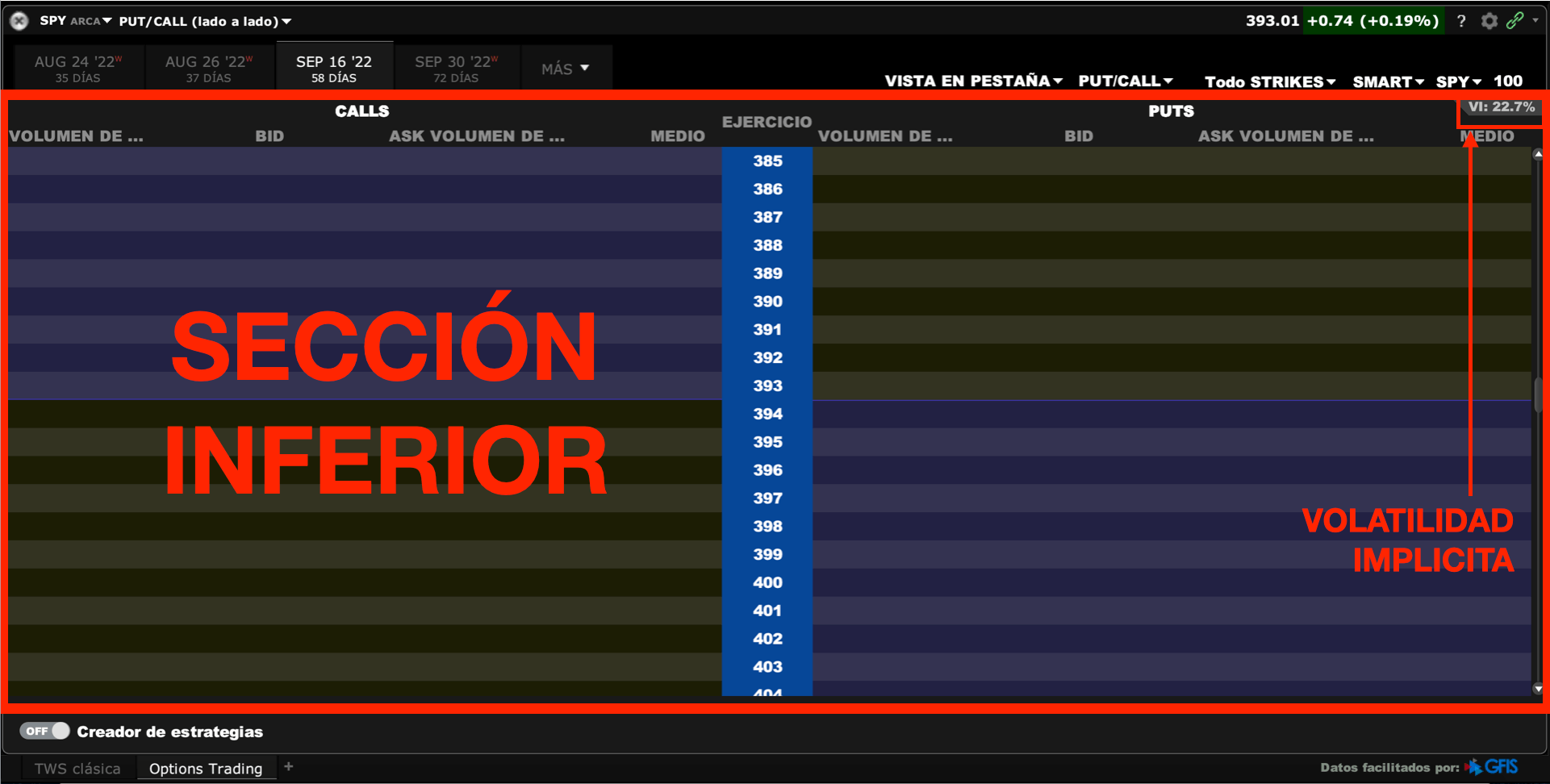 sección inferior de cadena de opciones financieras